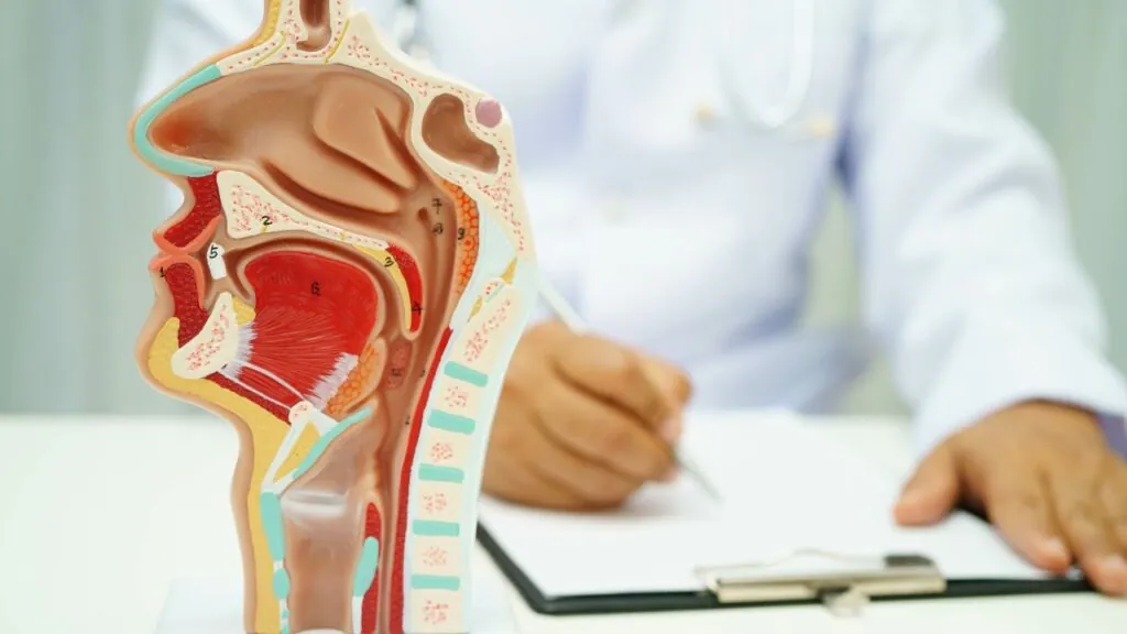 O Que é a Famosa Carne Esponjosa?| Dr. Alexandre César
